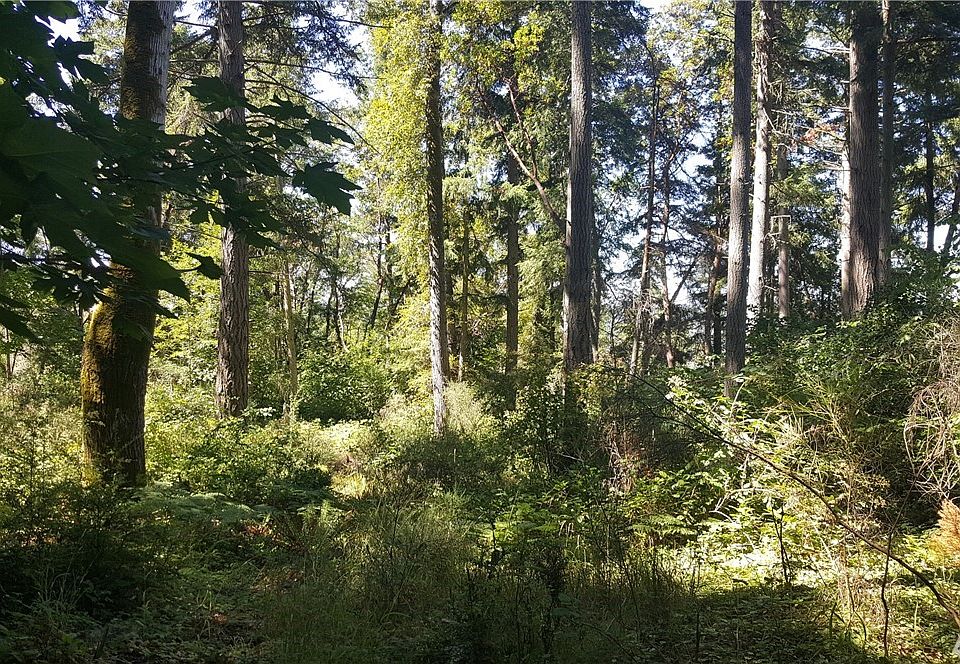 12314 Cole Point Dr Anderson Island WA Zillow