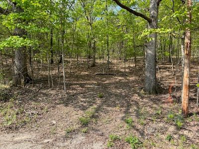 33 Venus Ave #49, Eureka Springs, AR, 72631