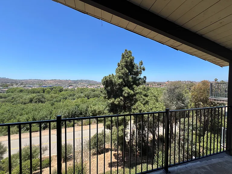 31362 Club Vista Ln — Photo 6