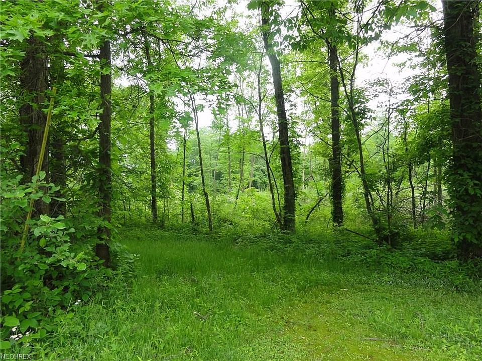 2nd image of 1 Oyster Rd