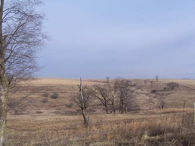1st image of 40.9 Ac Hwy #39
