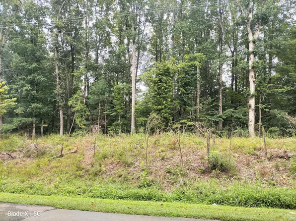 0 Deyerle Knob Rd, Rocky Mount, VA 24151