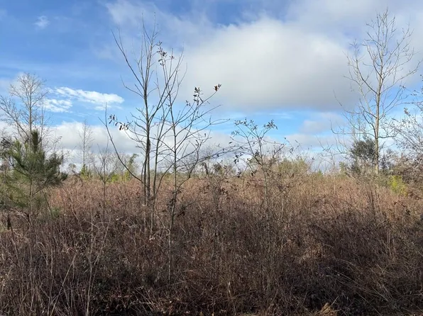 0 County Road 2214, Troy, AL 36079