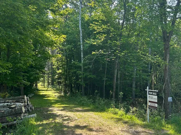 21553 Wilwin St, Trout Lake, MI 49793