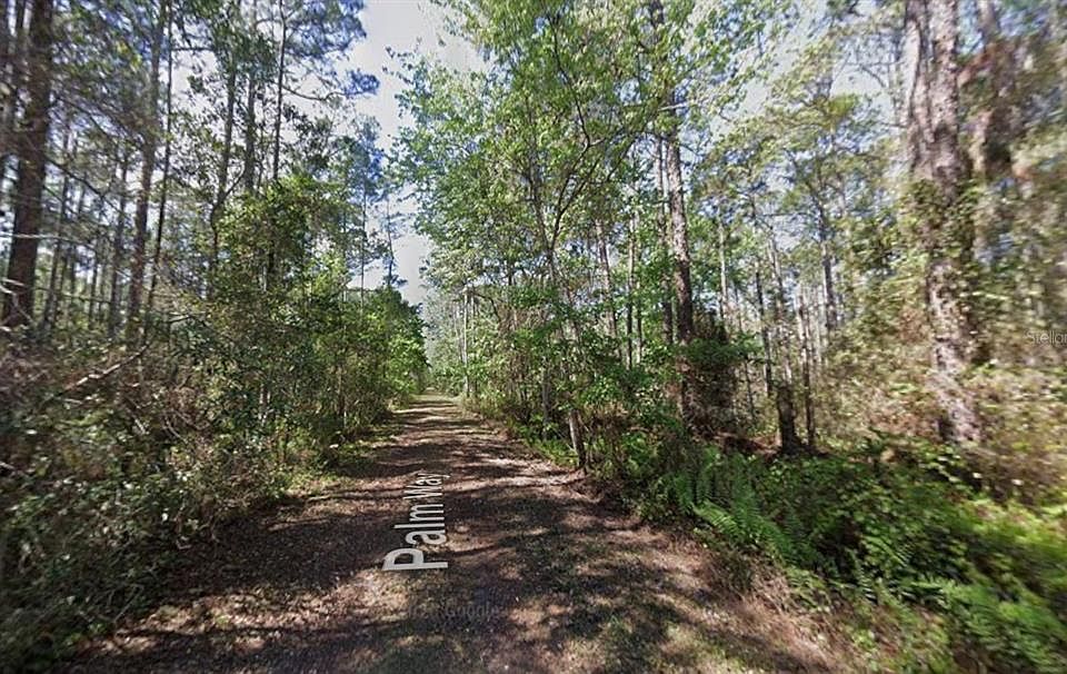 2nd image of 416 Palm Way Lot 29