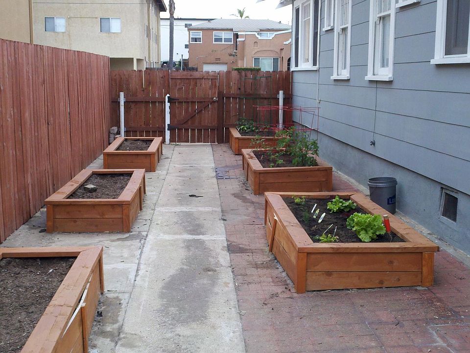 Shared garden space