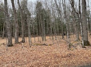 N Forest Lake Rd LOT 4, Land O Lakes, WI 54540