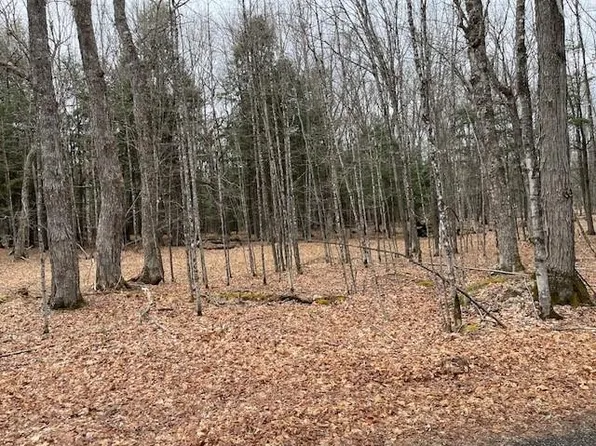 N Forest Lake Rd Lot 4, Land O Lakes, WI 54540