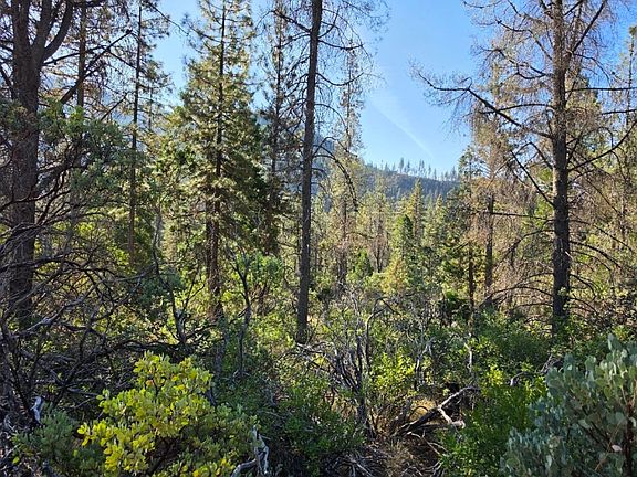4th image of 26000 Shotgun Creek Rd