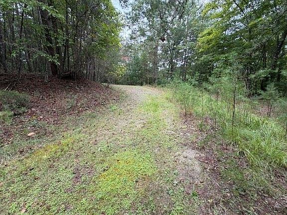 3rd image of Lot 20 Horseshoe Bend Rd
