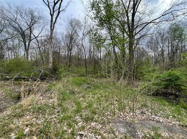 Route 130 St, Greenup, IL 62428