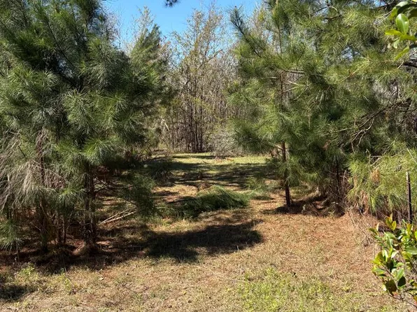 455 Patricia Ln, Ray City, GA 31645