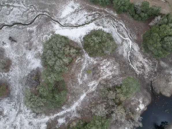 CO GRADE None, Bell, FL 32619