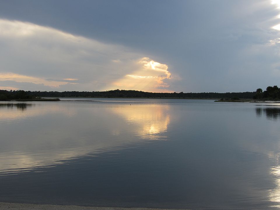 Water View