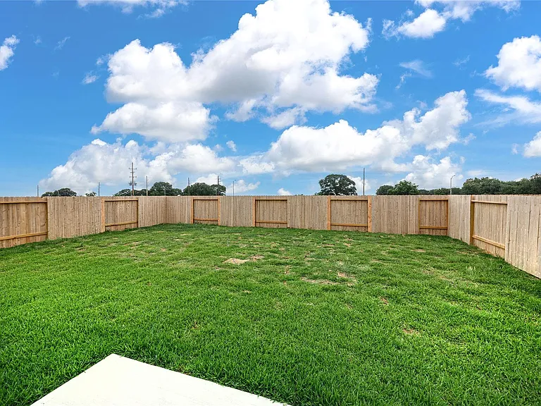 31114 Gayle Prairie Oaks St — Photo 48