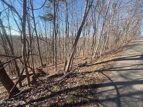 4th image of 207 Laurel Mountain Rd