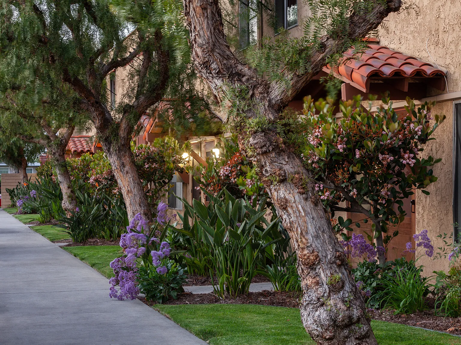 Sonoma Apartments — Photo 2