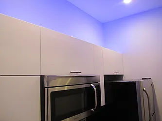 Rented by P Management