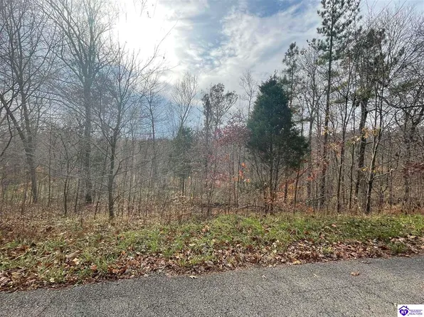 TRACT 3 Burton Huff Rd, Falls Of Rough, KY 40119