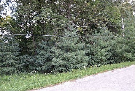 2nd image of 2044 Green Hill Estates Rd