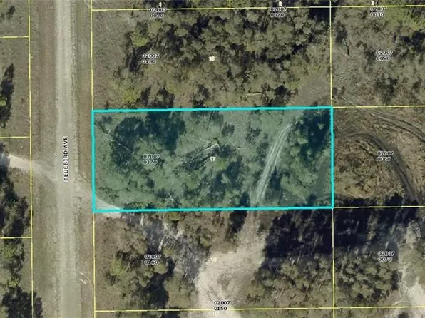 719 Bluebird AVE, LEHIGH ACRES, FL 33974