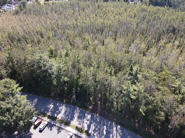 V/l Chippewa Beach Rd, Indian River, MI 49749