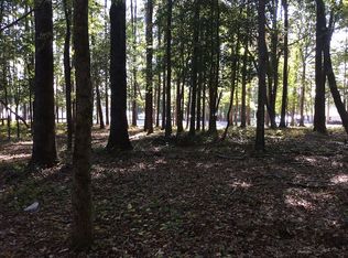 Gold Nugget Poin #1, Prosperity, SC 29127