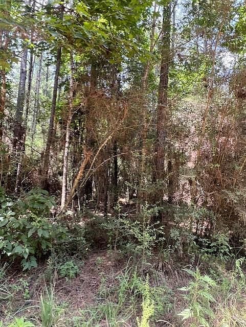 1st image of 0 Camp Seale Rd