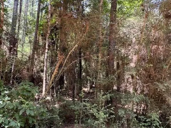 0 Camp Seale Rd, Livingston, TX 77351