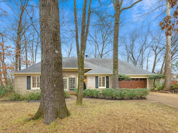 7850 Lacewing Trace Ct, Cordova, TN 38016