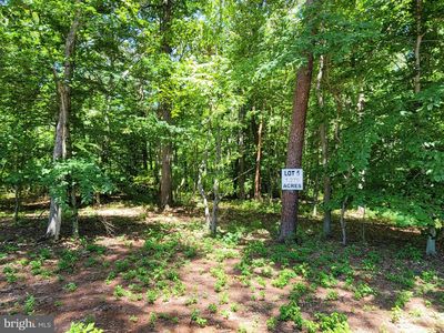 Burrisville Rd, Centreville, MD, 21617