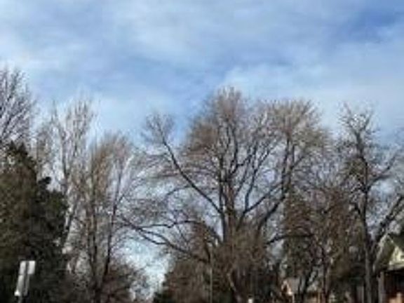 Exterior Neighborhood (street photo)