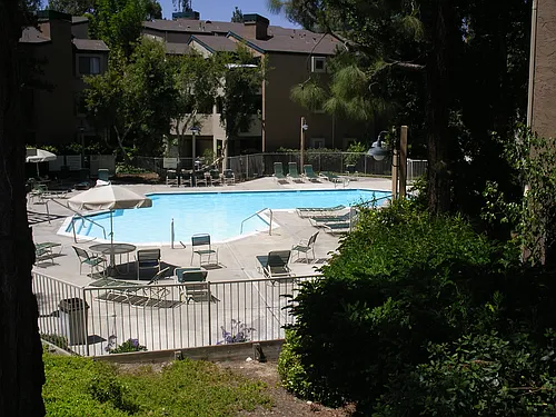 9715 Mesa Springs Way #203 Photo 1