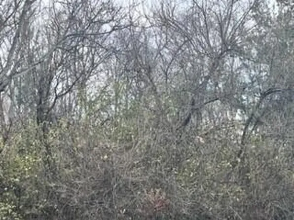 Lots 13 & 14 Reb Stacey Way, Williamstown, KY 41097