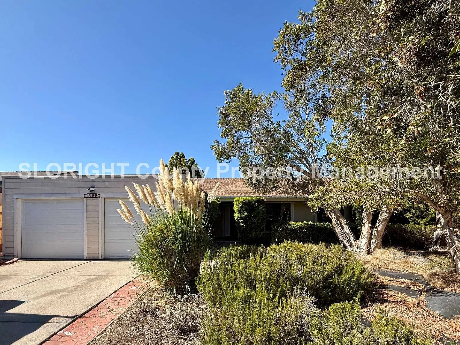 3 bed, 2.0 bath, 1196 sqft, $3,600 — Photo 1