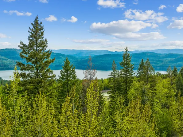 201 Whitefish Lookout Rd, Whitefish, MT 59937