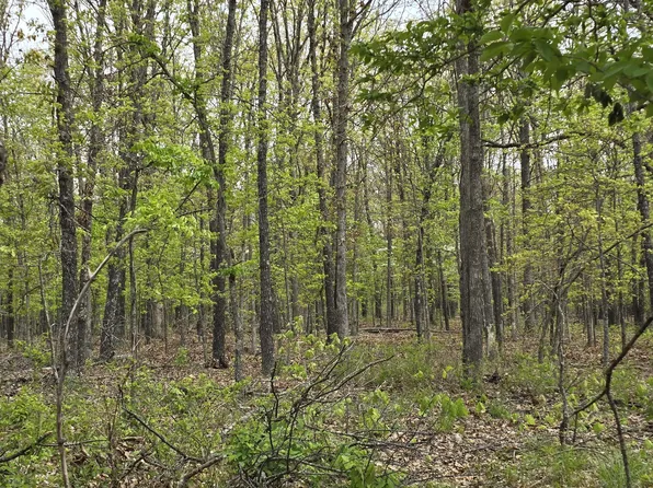 Tract O Greatview Lane, Lebanon, MO 65536