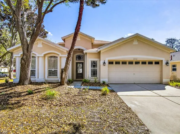 6002 Martinglade Pl, Lithia, FL 33547