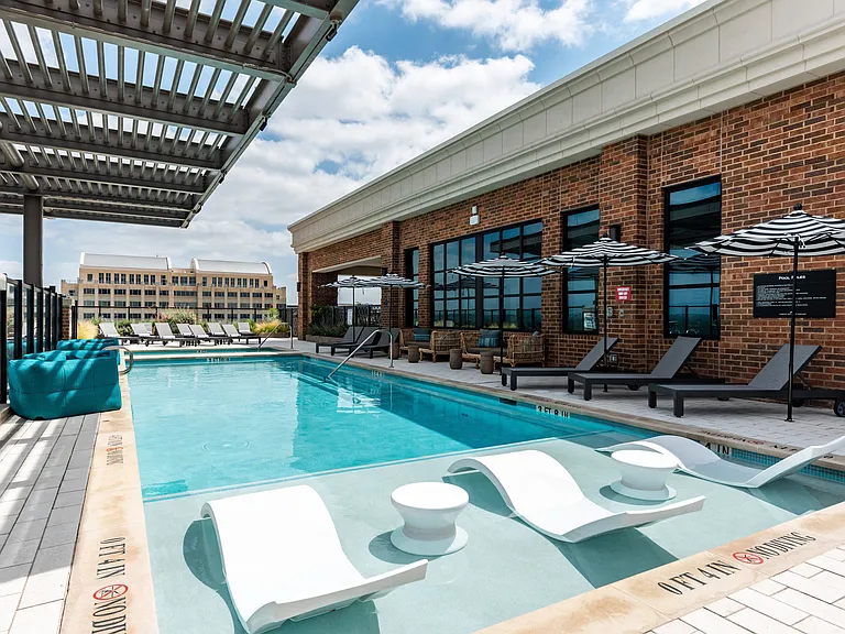 Rooftop Pool Zone
