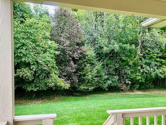 Park-like wooded back yard