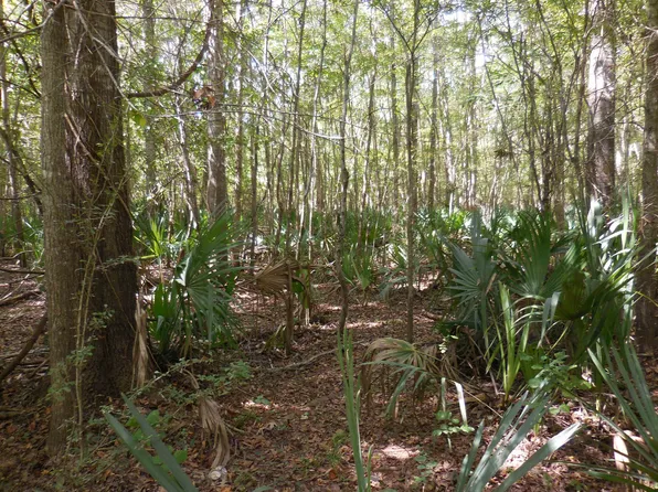 0 Lower River Rd, Eastman, GA 31023