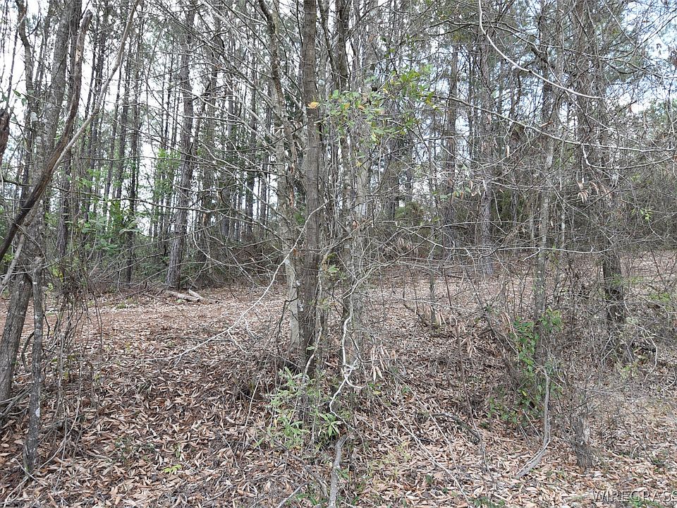 2nd image of 0 Tank Hill Rd