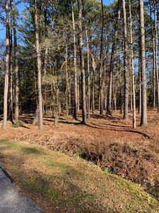 Lot #129 Greenbriar Lane, Washington, NC, 27889