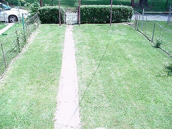 Rear Yard