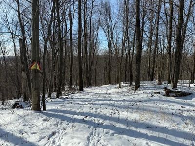 0 County Rd E, Osseo, WI, 54758