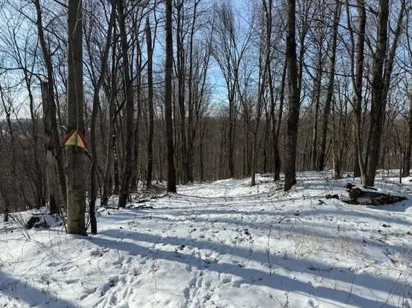 0 County Rd E, Osseo, WI 54758