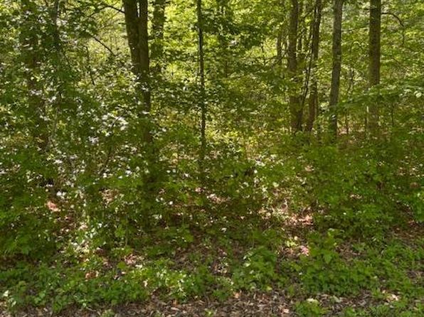 River Rd, Greensboro, MD 21639