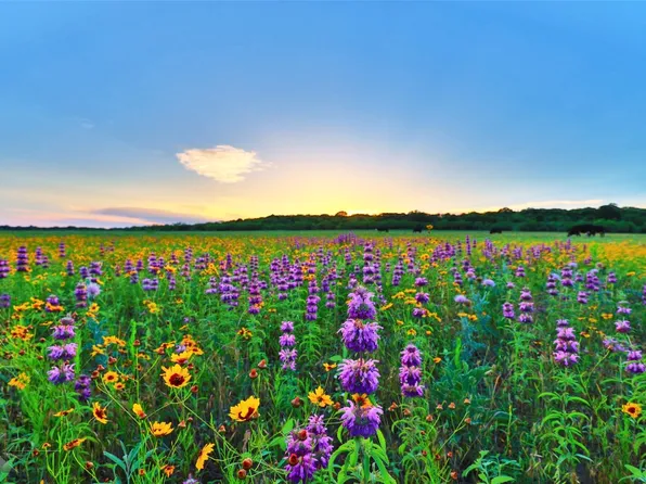 15752 Fm 604 S, Clyde, TX 79510