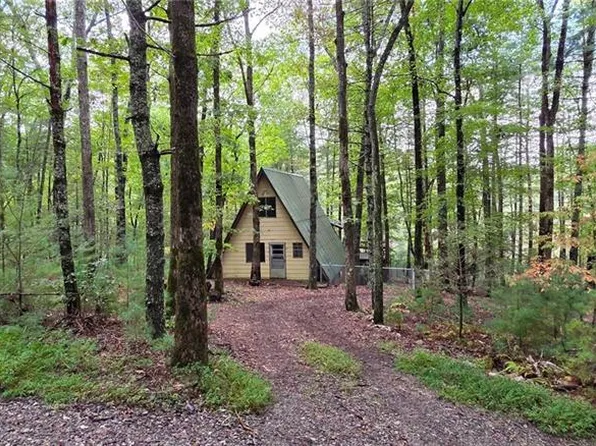 3 Mountain Lake Dr, Blue Ridge, GA 30513