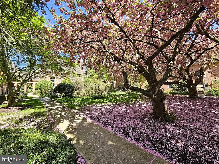 4000 Gypsy Ln #247 — Photo 2